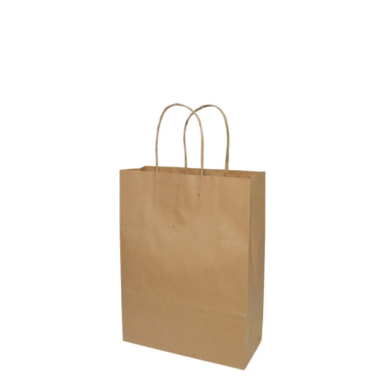 Sacola Kraft Lisa Vinco 26x21x9cm 25un P