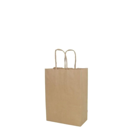 Sacola Kraft Lisa Vinco 21x15x8cm 25un Pp