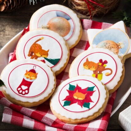 Biscoitaria Personalizada para o Natal com Pasta Americana 