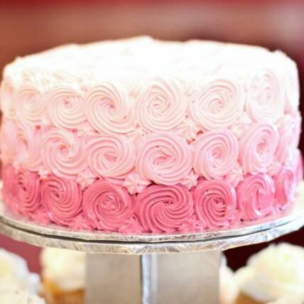 Boleira para Iniciantes