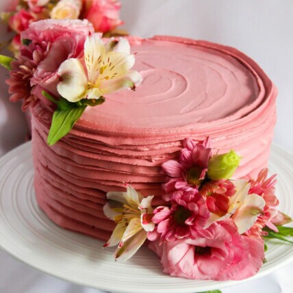 Boleira para Iniciantes